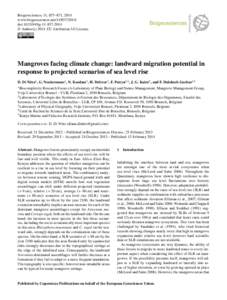 Biogeography / Avicennia marina / Avicennia / A. marina / Ceriops / Rhizophora / Madagascar mangroves / Flora / Eudicots / Mangroves