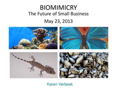 BIOMIMICRY  The Biomimicry Institute The Future of Small Business May 23, 2013