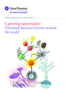 INTERNATIONAL BUSINESS REPORT 2012 – CLEANTECH SECTOR FOCUS  Capturing opportunity: Cleantech business booms around the world