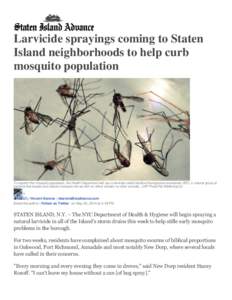 Larvicide sprayings coming to Staten Island neighborhoods to help curb mosquito population To squelch the mosquito population, the Health Department will use a larvicide called bacillus thuringiensis israelensis (BTI), a