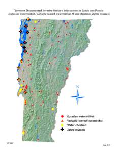 Castleton /  Vermont / Myriophyllum spicatum / Zebra mussel / Lake Champlain / Lake Bomoseen / Geography of the United States / Vermont / Geography of New York