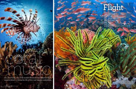 Islands / Fisheries / Biology / Anthozoa / Coral reef / Ecosystems / Coral / Spawn / Fire coral / Physical geography / Coral reefs / Water