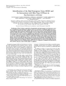 MOLECULAR AND CELLULAR BIOLOGY, Aug. 1996, p. 4387–/$Copyright q 1996, American Society for Microbiology Vol. 16, No. 6