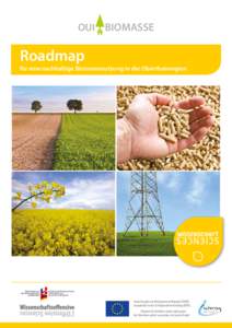 OUI BIOMASSE  Roadmap für eine nachhaltige Biomassenutzung in der Oberrheinregion