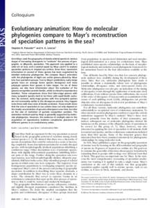 Colloquium  Evolutionary animation: How do molecular phylogenies compare to Mayr’s reconstruction of speciation patterns in the sea? Stephen R. Palumbi*† and H. A. Lessios‡