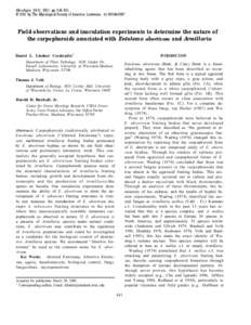 Field observations and inoculation experiments to determine the nature of the carpophoroids associated with Entoloma abortivum and Armillaria