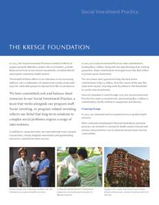 Social Investment Practice  In 2013, the Social Investment Practice invested in efforts to support juvenile offenders, protect the environment, provide financial services to low-income households, revitalize Detroit and 