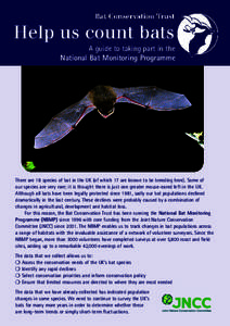 Help us count bats A guide to taking part in the National Bat Monitoring Programme There are 18 species of bat in the UK (of which 17 are known to be breeding here). Some of our species are very rare; it is thought there