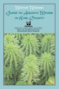 Water Weeds: Guide to Aquatic Weeds in King County Department of Natural Resources and Parks Water and Land Resources Division Noxious Weed Control Program