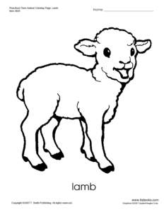 Preschool Farm Animal Coloring Page: Lamb