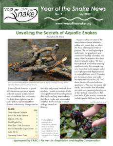 Year of the Snake News No. 7 July 2013
