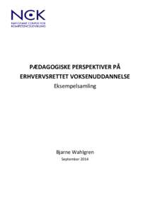 PÆDAGOGISKE PERSPEKTIVER PÅ ERHVERVSRETTET VOKSENUDDANNELSE Eksempelsamling Bjarne Wahlgren September 2014