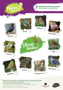 6+  Spotted these birds in your garden? Use this sheet to identify them.  Chaffinch