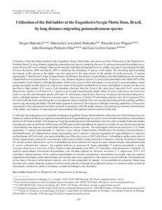 Ichthyology / Paraná River / Anostomidae / Leporinus obtusidens / Leporinus / Fish ladder / Fish migration / Yacyretá Dam / Iheringichthys / Fish / Fisheries / Aquatic ecology