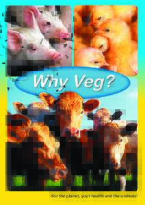 WhyVegan? Veg? Why For the planet, your health and the animals!
