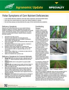    Foliar Symptoms of Corn Nutrient Deficiencies • Foliar nutrient deficiency symptoms can be the result of agronomic and environmental factors. • Root injury from various reasons can cause foliar nutrient symptoms 