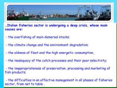 …Italian fisheries sector is undergoing a deep crisis, whose main causes are: - the overfishing of main demersal stocks; - the climate change and the environment degradation; - the oldness of fleet and the high energet