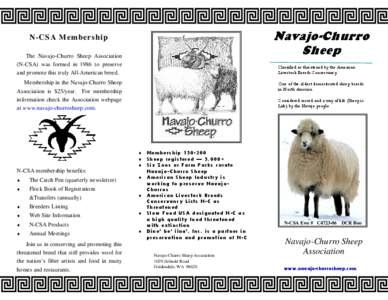 Navajo-Churro Sheep N-CSA Membership The Navajo-Churro Sheep Association (N-CSA) was formed in 1986 to preserve