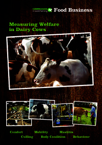 Food Business Measuring Welfare in Dairy Cows Comfort Mobility