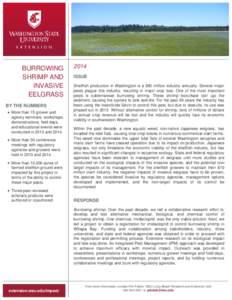 BURROWING SHRIMP AND INVASIVE EELGRASS BY THE NUMBERS More than 15 grower and