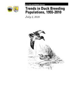 Trends in Duck Breeding Populations, [removed]