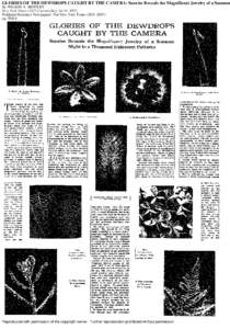 GLORIES OF THE DEWDROPS CAUGHT BY THE CAMERA: Sunrise Reveals the Magnificent Jewelry of a Summer By WILSON A. BENTLEY New York Times[removed]Current file); Jul 31, 1927; ProQuest Historical Newspapers: The New York Times 