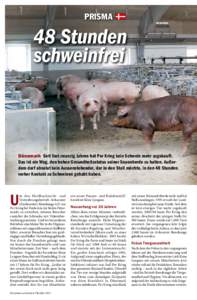 Prisma  48 Stunden schweinfrei  Dänemark Seit fast zwanzig Jahren hat Per Kring kein Schwein mehr zugekauft.