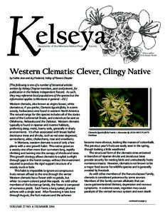 K  elseya Newsletter of the Montana Native Plant  Society