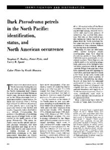 Dark Pterodromapetrels 40 to 150 nautical miles off the North in the North Pacific:  American coast,the avifauna, including principal species,seasonalmovements, and year-to-year patterns of