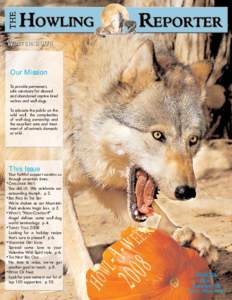 Wolfdog / Gray wolf / Pack / Red wolf / Wolf / Canidae / Wolves / Zoology / Biology