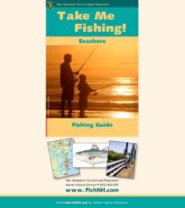 Moronidae / Fly fishing / Fishkeeping / Striped bass / Surf fishing / New Hampshire Route 1A / U.S. Route 1 in New Hampshire / Seabrook Beach /  New Hampshire / Bluefish / Fish / Clupeidae / Recreational fishing