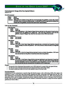 State of the Great Lakes Ecosystem 2007