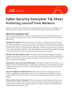 Cyber Security Consumer Tip Sheet Protecting yourself from Malware Malware is a general term to describe destructive programs that can harm your computer or any other device that connects to the Internet, including smart