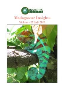 Madagascar Insights 30 June - 27 July 2014 Tonga soa! Welcome to Madagascar Insights Madagascar lies in the Indian Ocean, approximately 400 kilometres off the east coast of Africa.It is the