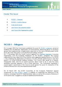 European Commission  DG Internal Market and Services Info-letter: Financial Conglomerates Issue 6 | May 2011