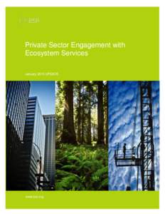 Private Sector Engagement with Ecosystem Services January 2015 UPDATE www.bsr.org