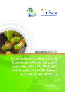 TECHNICAL REPORT  Shiga toxin/verotoxin-producing Escherichia coli in humans, food and animals in the EU/EEA, with special reference to the German