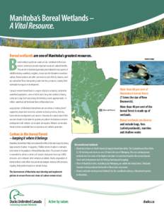 Wetland conservation in the United States / Aquatic ecology / Wetland / Saskatchewan River Delta / Taiga / Ducks Unlimited / Boreal / Manitoba / Boreal forest of Canada / Physical geography / Environment / Earth