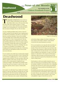 from  Deadwood News of the Woods the newsletter of the