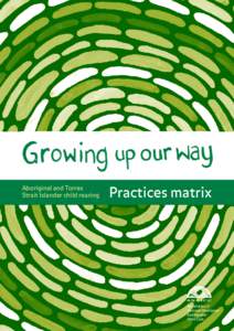 Aboriginal and Torres Strait Islander child rearing 1  Practices matrix