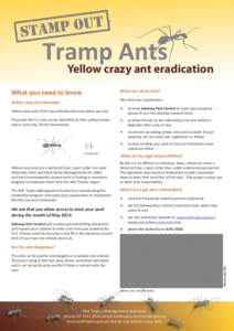 Biology / Ant / Hymenoptera / Symbiosis / Yellow crazy ant / Pest control / Atta / Weaver ant / Phyla / Formicinae / Myrmicinae / Entomology