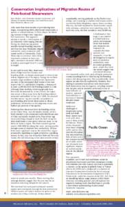 Conservation Implications of Migration Routes of Pink-footed Shearwaters Peter Hodum, Juan Fernández Islands Conservancy and Oikonos Ecosystem Knowledge and David Hyrenbach, Duke University Marine Lab