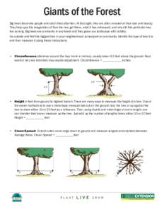 Flora of the United States / Forestry / Plant morphology / Plants / Tree / General Sherman / Sequoiadendron / Moreton Bay Fig Tree / National Register of Big Trees / Sequoia National Park / Botany / Biology