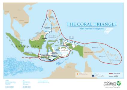 Southeast Asia / Provinces of Indonesia / Wakatobi / Nusa Penida / Bali / Indonesia / Seascape / Asia / Geography / Coral Triangle