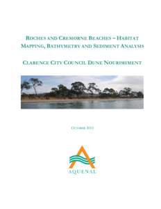 ROCHES AND CREMORNE BEACHES – HABITAT MAPPING, BATHYMETRY AND SEDIMENT ANALYSIS CLARENCE CITY COUNCIL DUNE NOURISHMENT OCTOBER 2010
