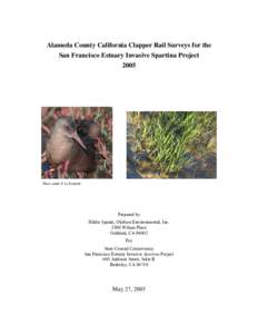 Alameda County Clapper Rail surveys