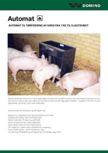 Automat Automat til tørfodring af grise fra 7 kg til slagtevægt