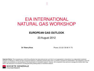 EIA INTERNATIONAL NATURAL GAS WORKSHOP EUROPEAN GAS OUTLOOK 23 AugustDr Thierry Bros