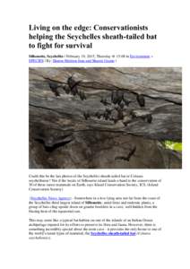 Living on the edge: Conservationists helping the Seychelles sheath-tailed bat to fight for survival Silhouette, Seychelles | February 19, 2015, Thursday @ 15:08 in Environment » SPECIES | By: Sharon Meriton Jean and Sha