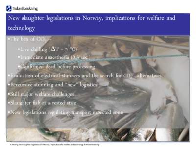 New slaughter legislations in Norway, implications for welfare and technology •The ban of CO2 – •Live chilling (ΔT = 5 oC) •Immediate anaesthesia (0,5 sec.)